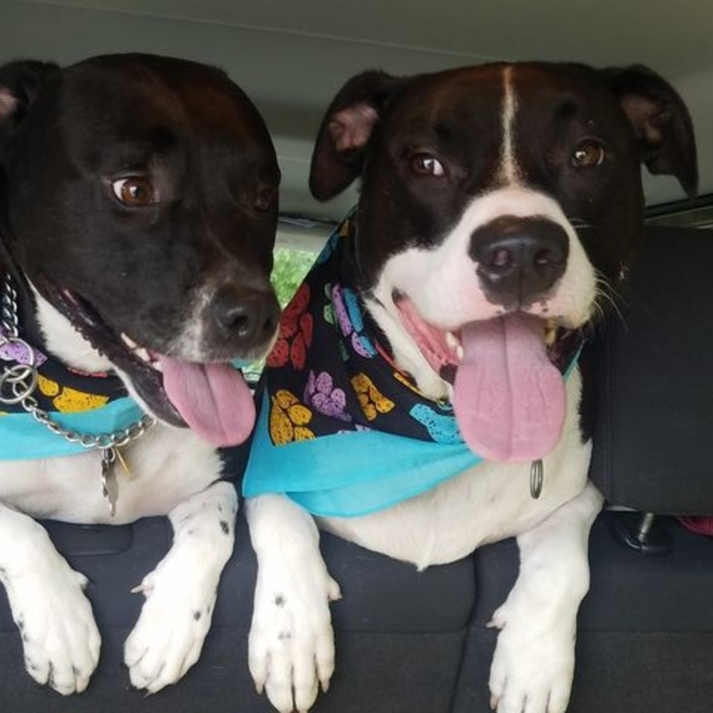 Meet your Posher, Sherri